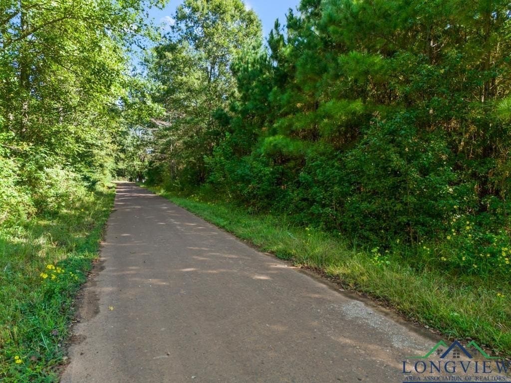 12.53 acres in Upshur County - photo 5