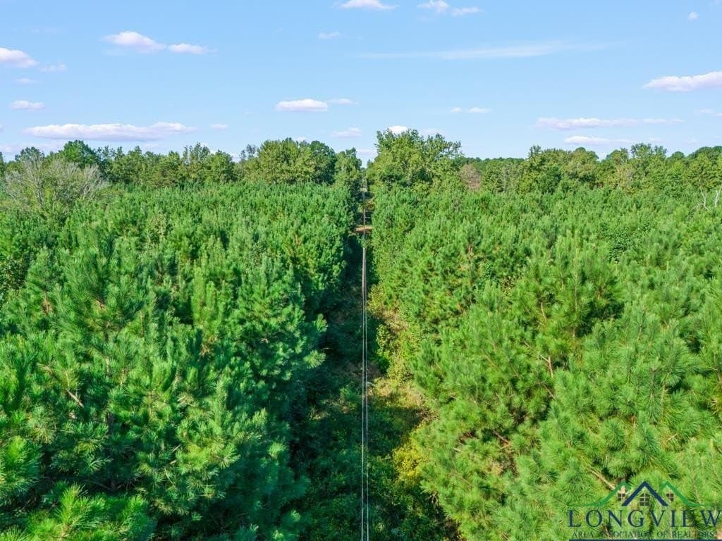 12.53 acres in Upshur County - photo 9