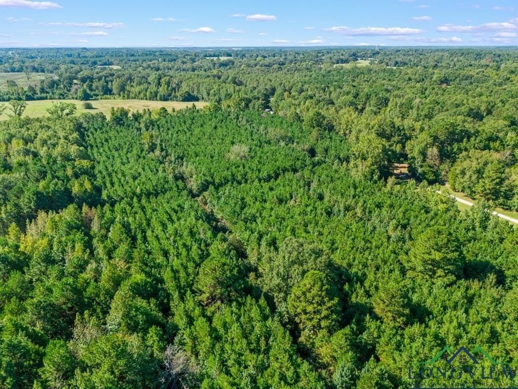 12.53 acres in Upshur County - photo 11