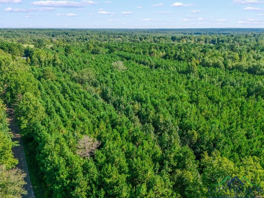 12.53 acres in Upshur County - photo 6