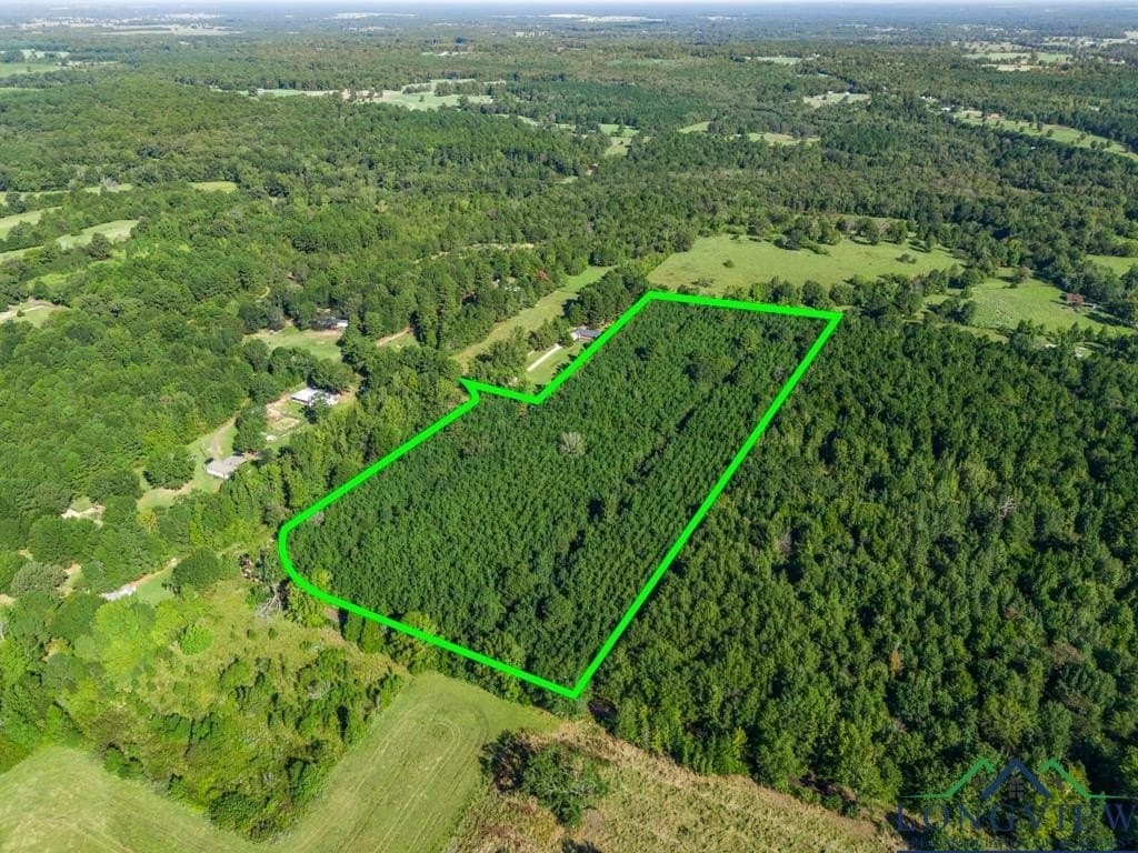 12.53 acres in Upshur County - photo 19
