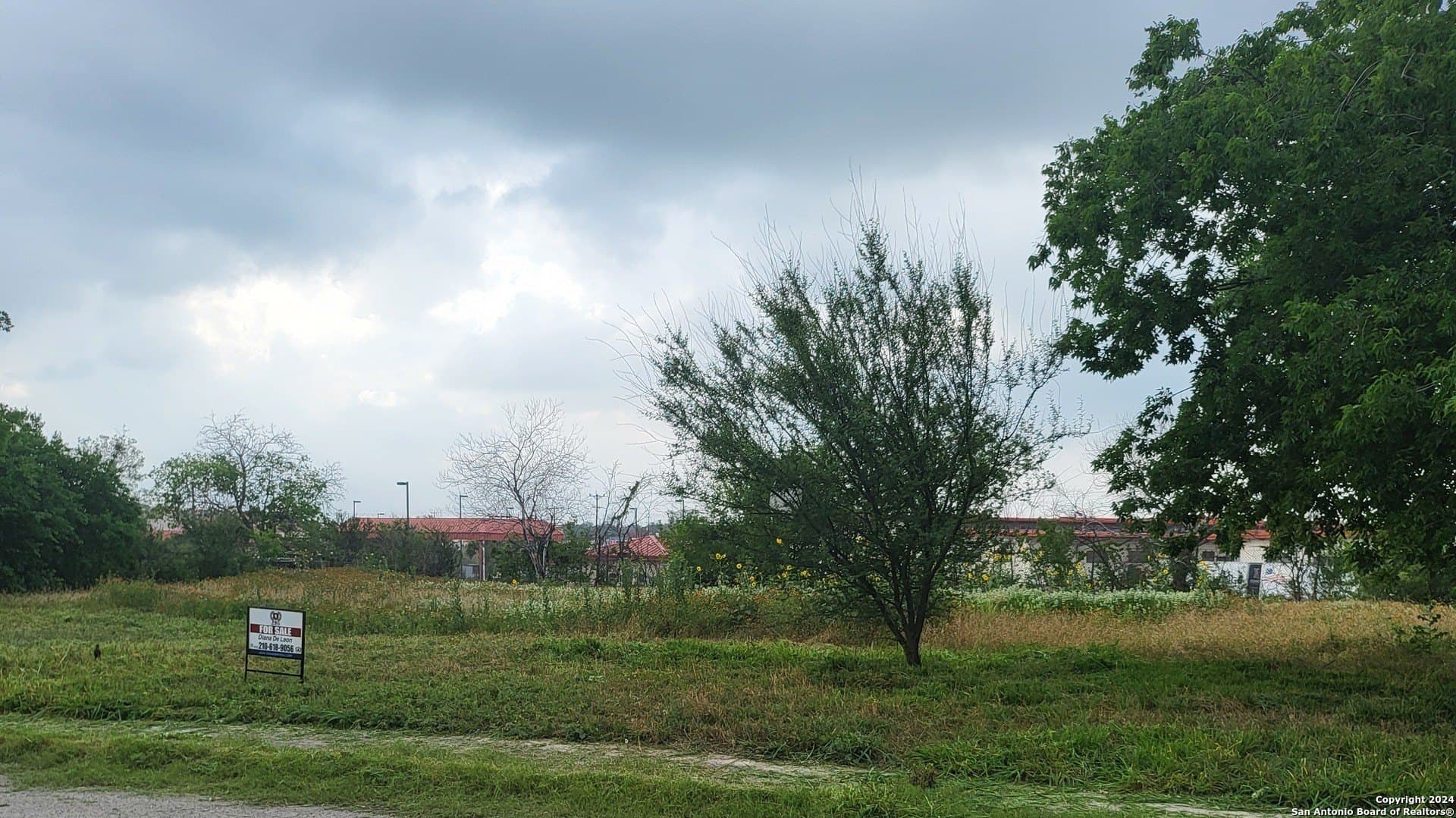 0.3 acres in Bexar County - photo 2