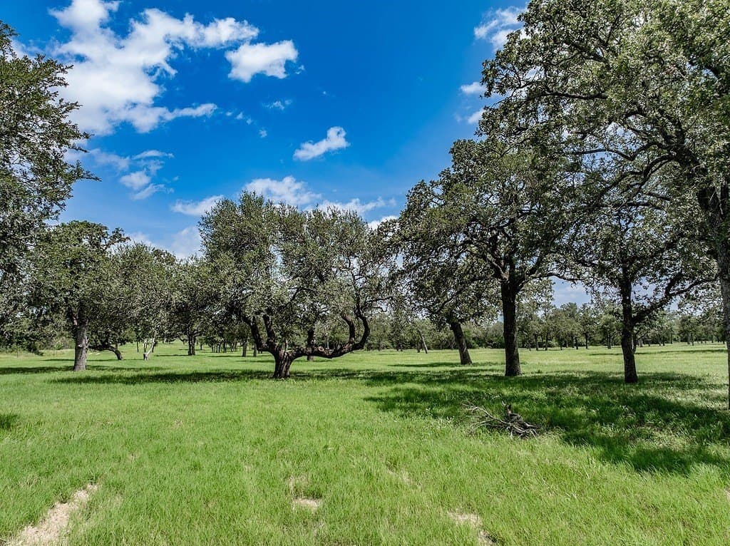 58.15 acres in Fayette County - photo 8