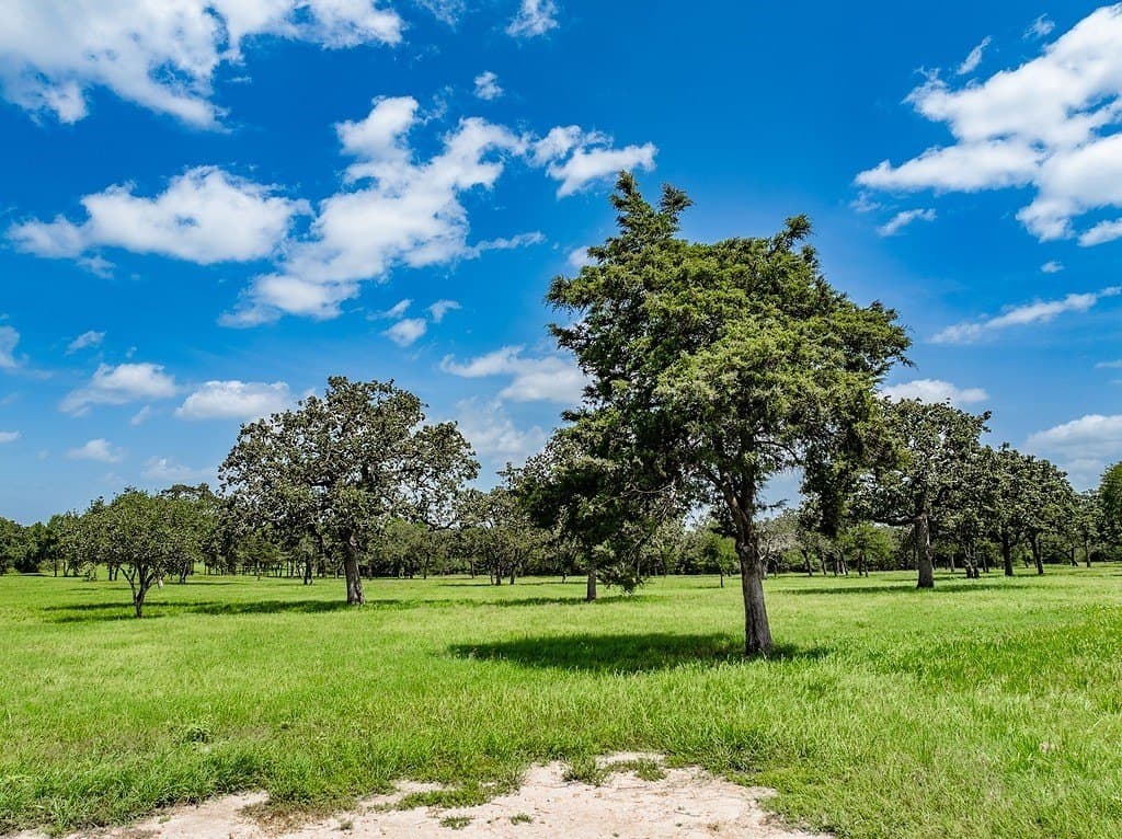 58.15 acres in Fayette County - photo 6
