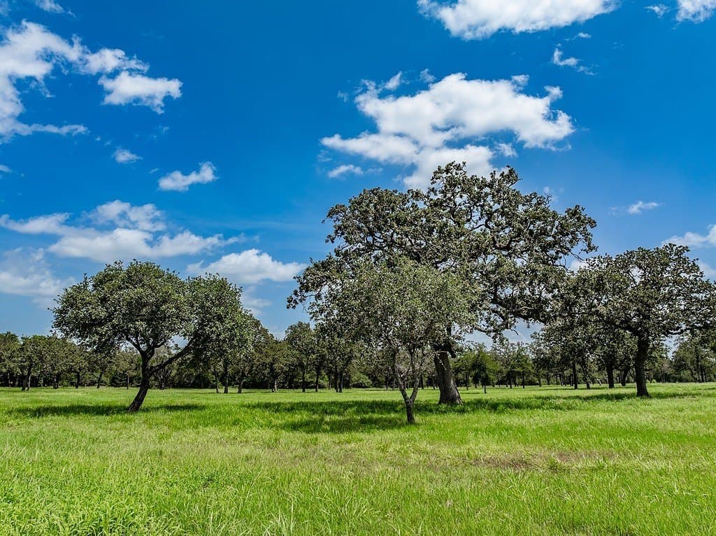 58.15 acres in Fayette County - photo 7