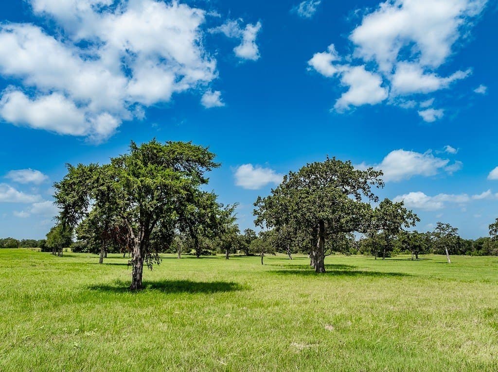 58.15 acres in Fayette County - photo 10