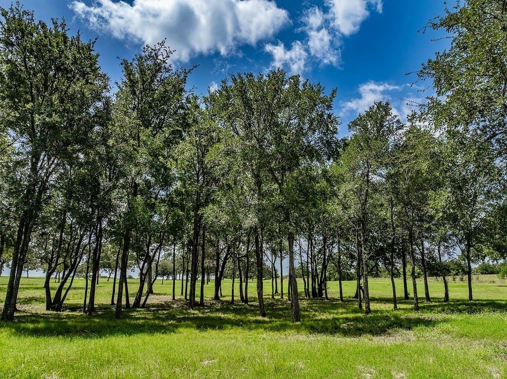 58.15 acres in Fayette County - photo 5