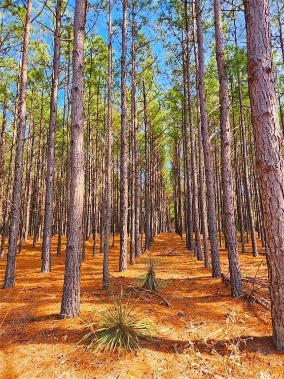 5.6 acres in Henderson County - photo 23