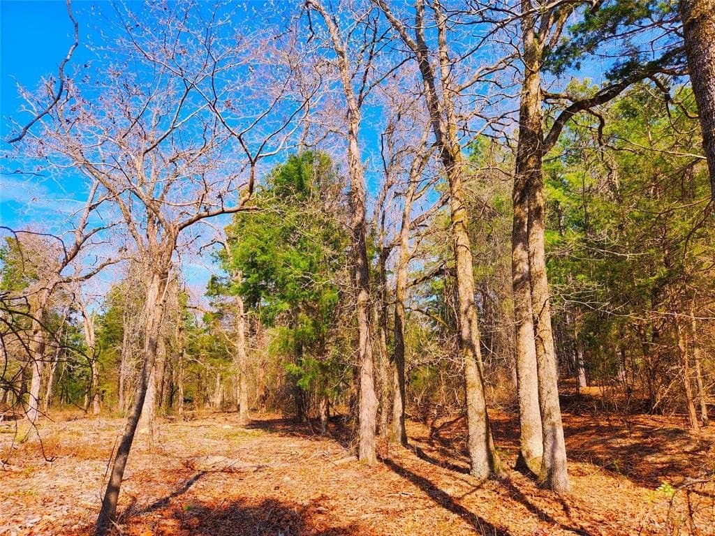 5.6 acres in Henderson County - photo 11