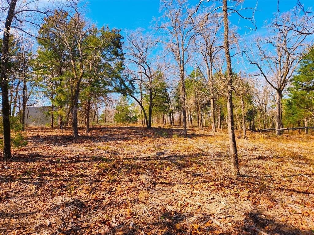 5.6 acres in Henderson County - photo 10