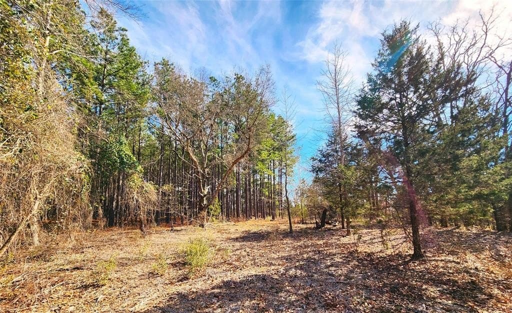 5.6 acres in Henderson County - photo 37