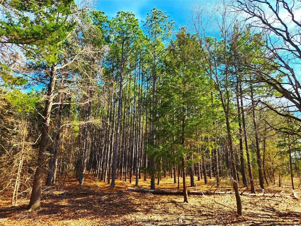 5.6 acres in Henderson County - photo 7