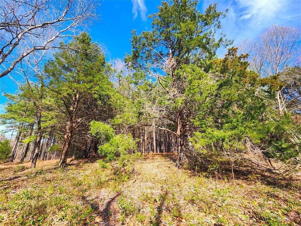 5.6 acres in Henderson County - photo 35