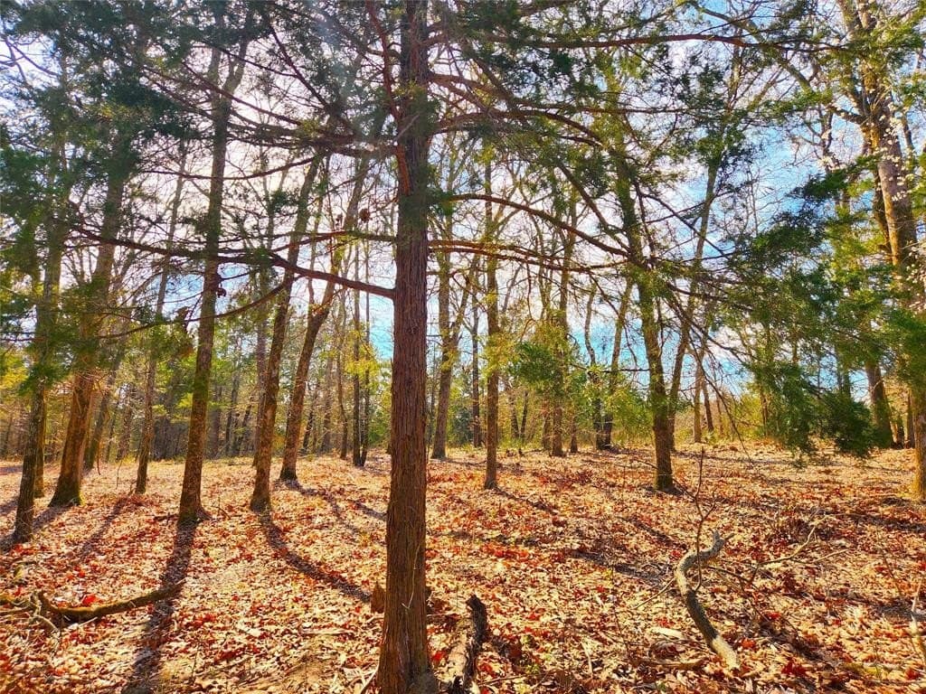 5.6 acres in Henderson County - photo 9