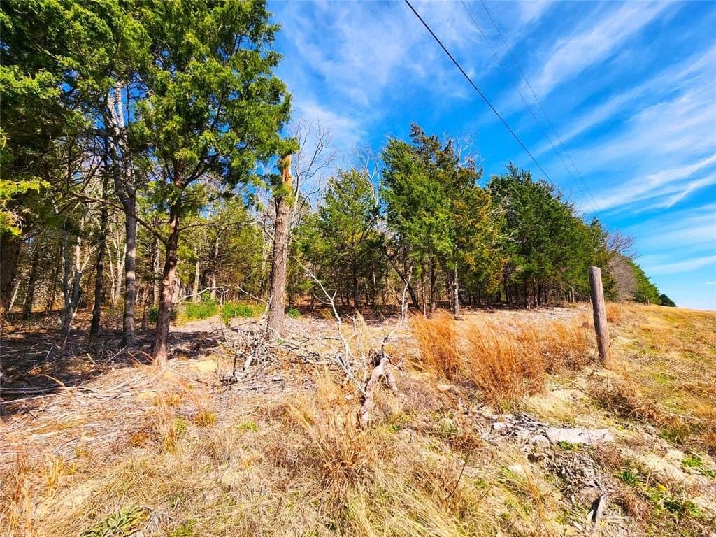 5.6 acres in Henderson County - photo 28
