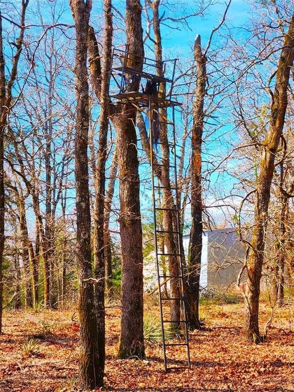 5.6 acres in Henderson County - photo 16