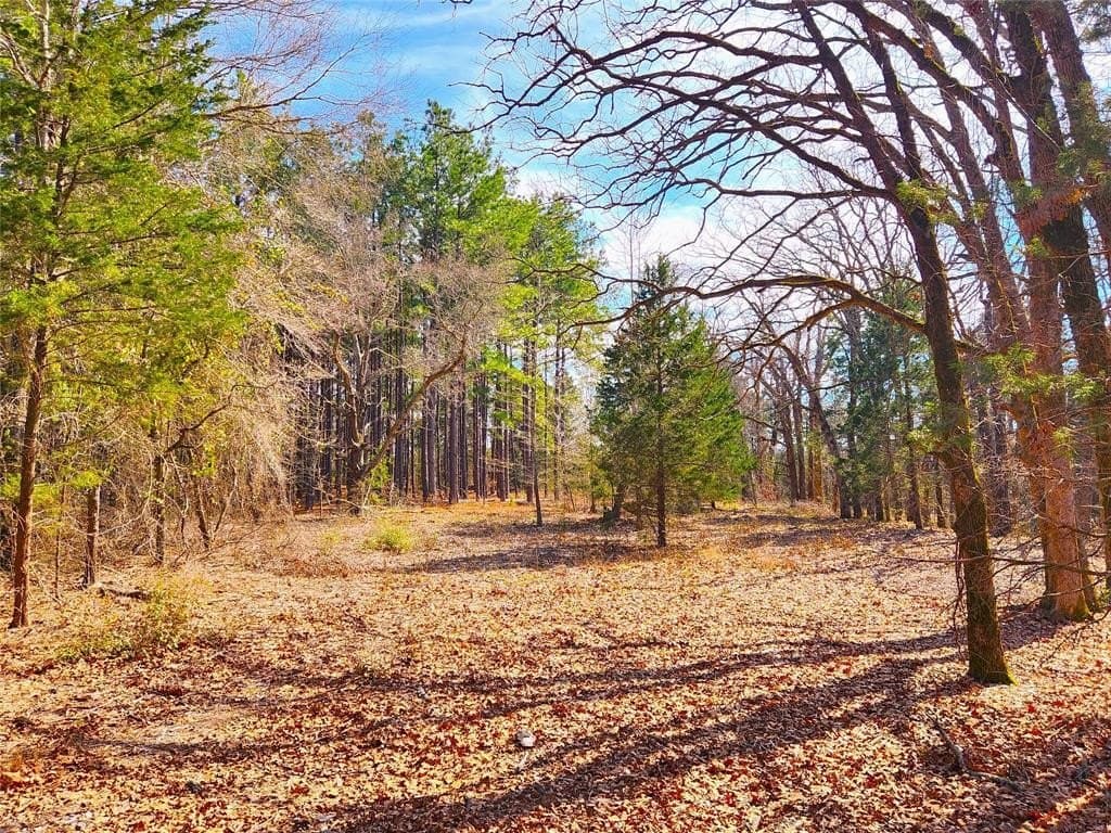 5.6 acres in Henderson County - photo 14