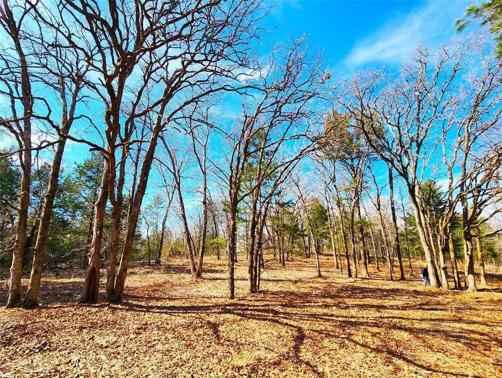 5.6 acres in Henderson County - photo 36