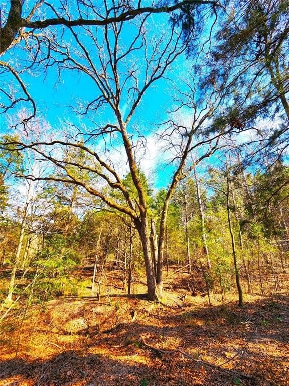 5.6 acres in Henderson County - photo 12