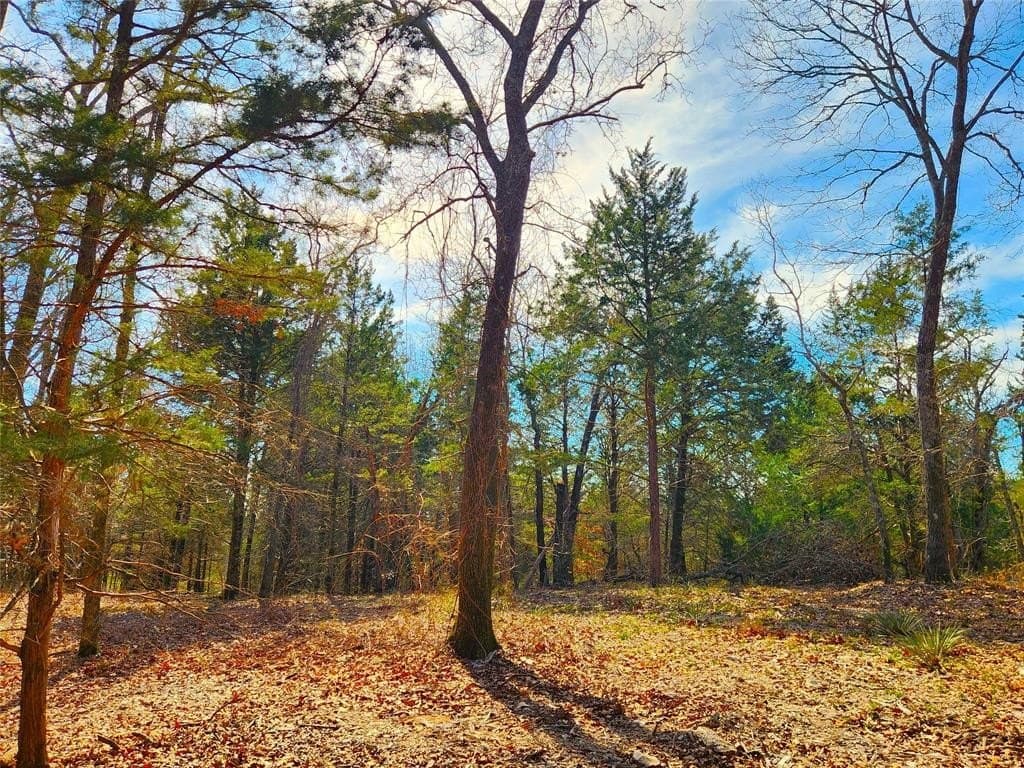 5.6 acres in Henderson County - photo 4