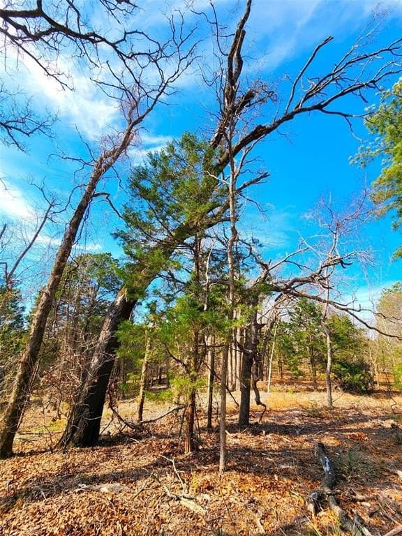 5.6 acres in Henderson County - photo 32