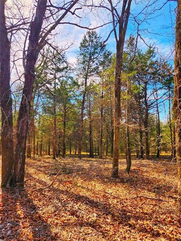 5.6 acres in Henderson County - photo 18