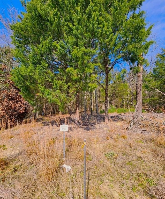 5.6 acres in Henderson County - photo 26