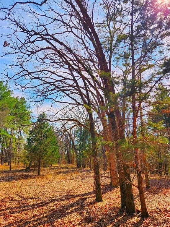 5.6 acres in Henderson County - photo 19