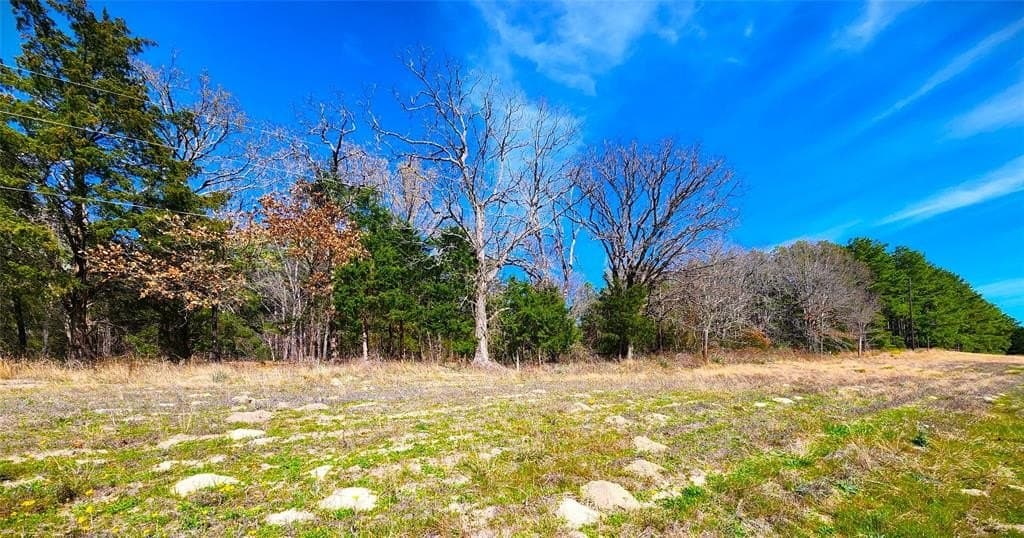 5.6 acres in Henderson County - photo 31