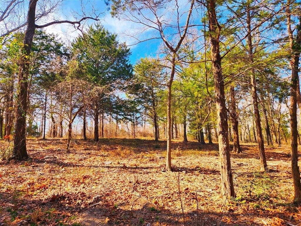 5.6 acres in Henderson County - photo 6