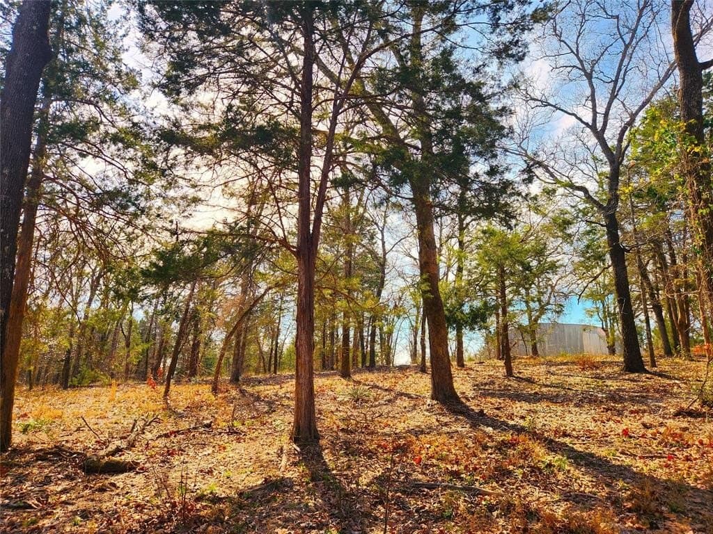 5.6 acres in Henderson County - photo 5