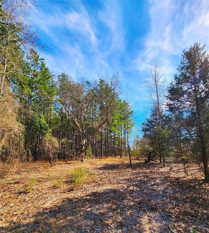5.6 acres in Henderson County - photo 38