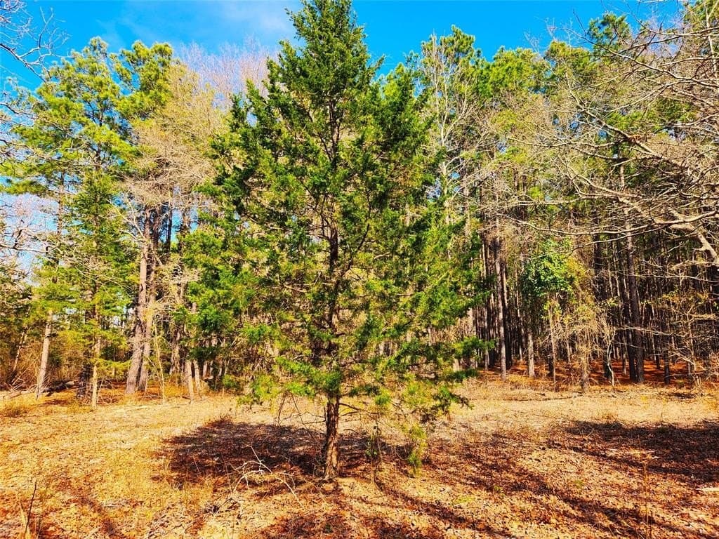 5.6 acres in Henderson County - photo 20