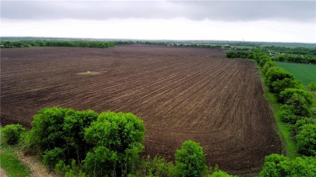 142.72 acres in Falls County - photo 6