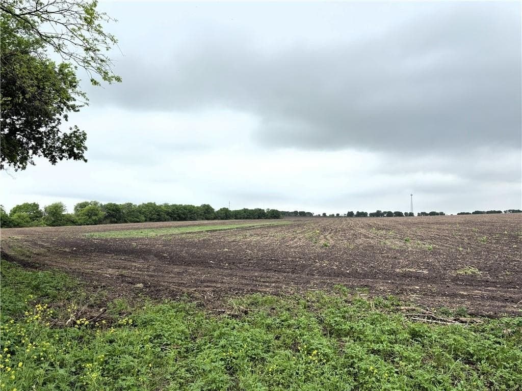 142.72 acres in Falls County - photo 8