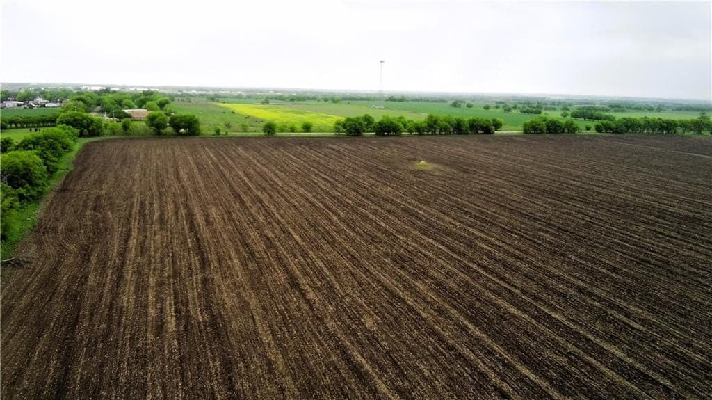 142.72 acres in Falls County - photo 5