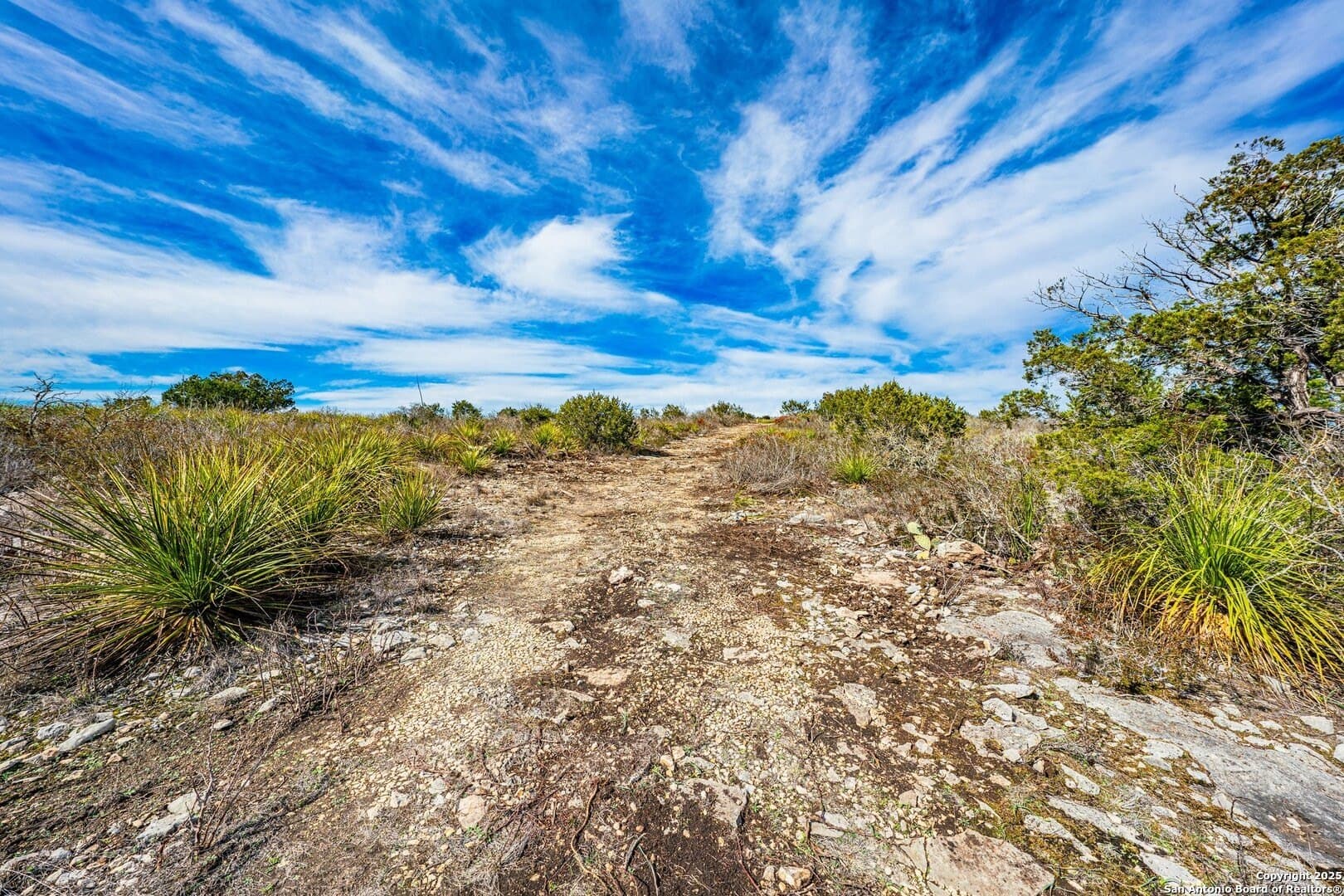 20.01 acres in Uvalde County - photo 4