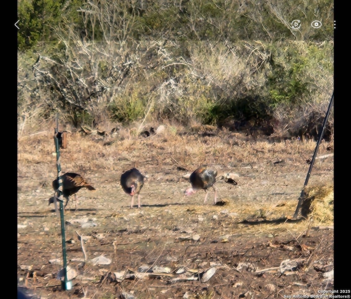 20.01 acres in Uvalde County - photo 8