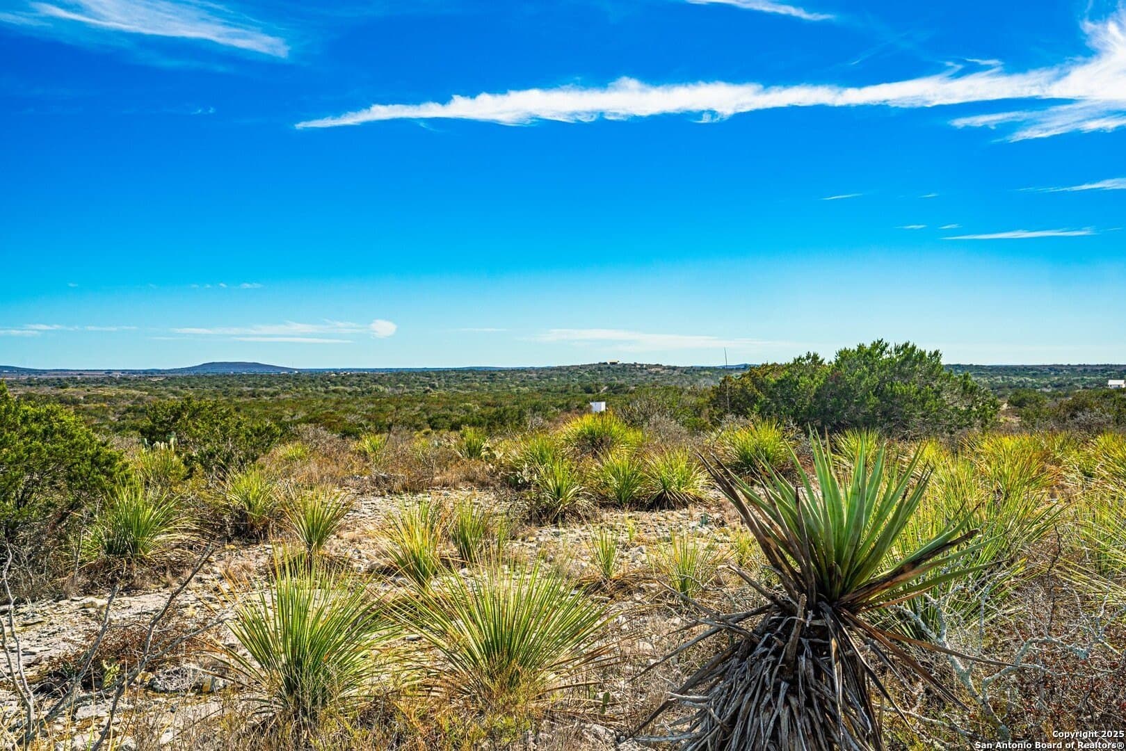 20.01 acres in Uvalde County - photo 2
