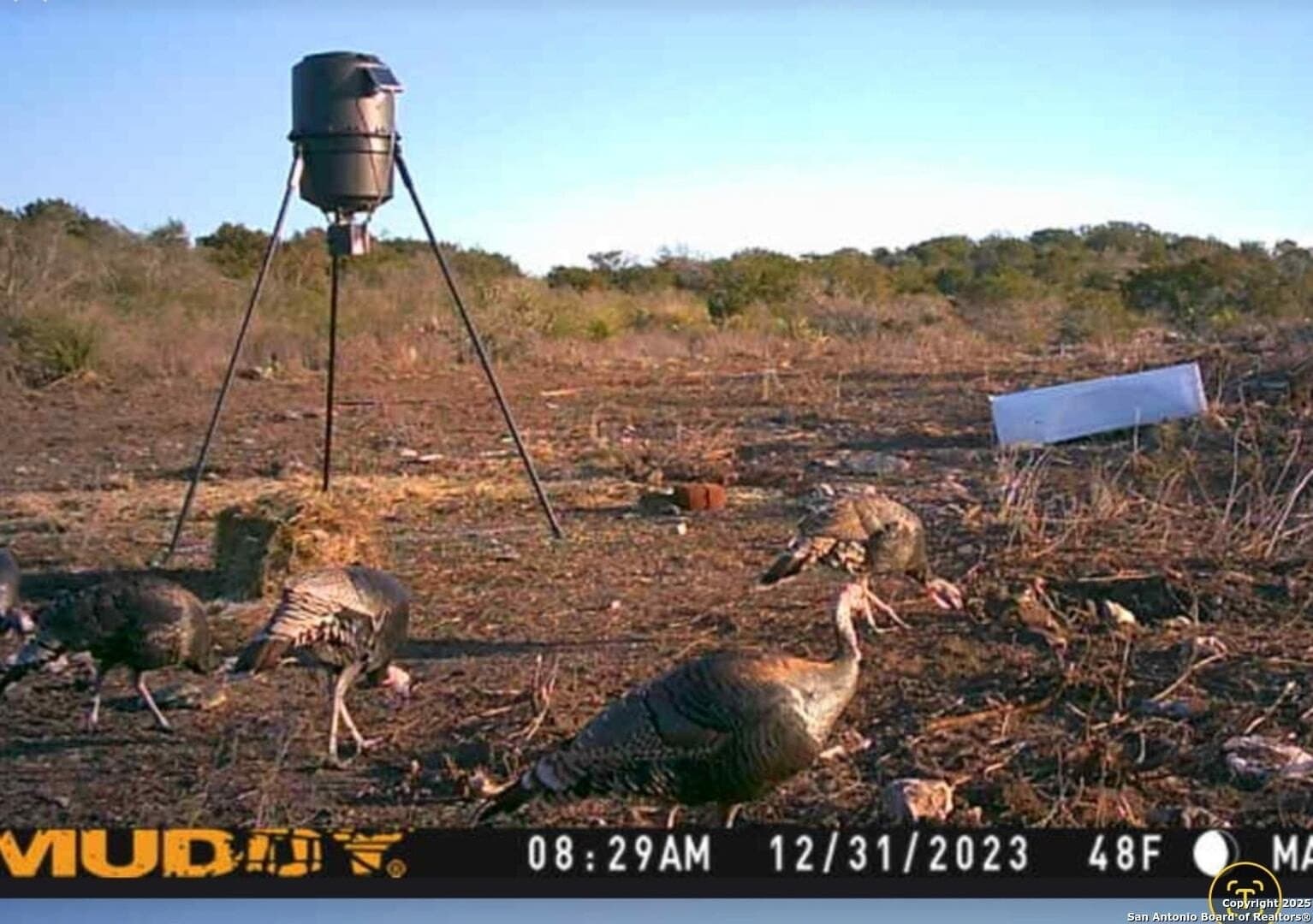 20.01 acres in Uvalde County - photo 7