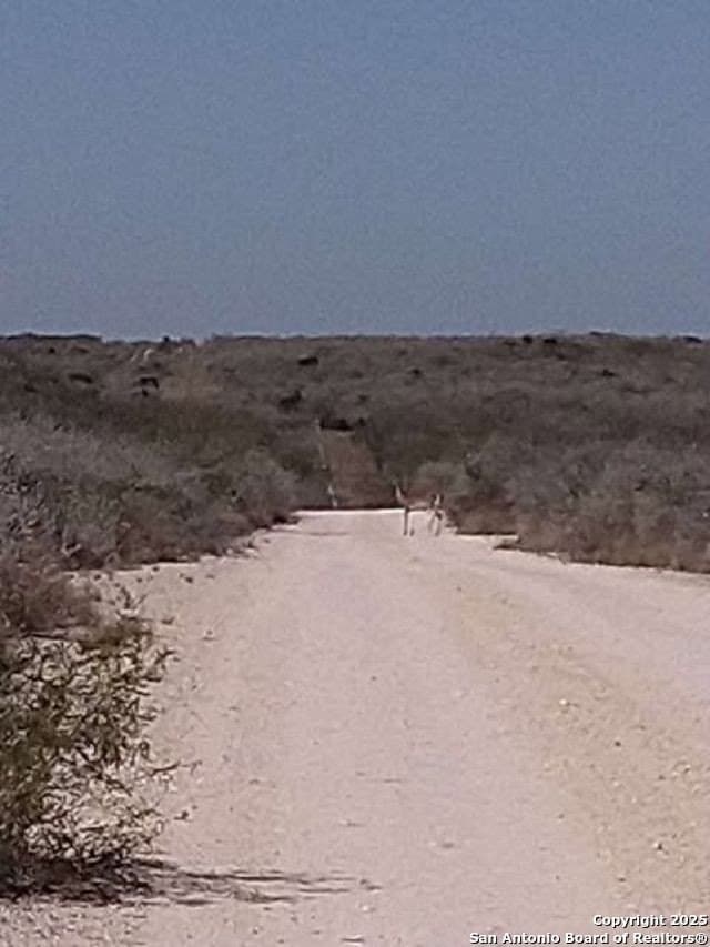 10.2 acres in Live Oak County - photo 3