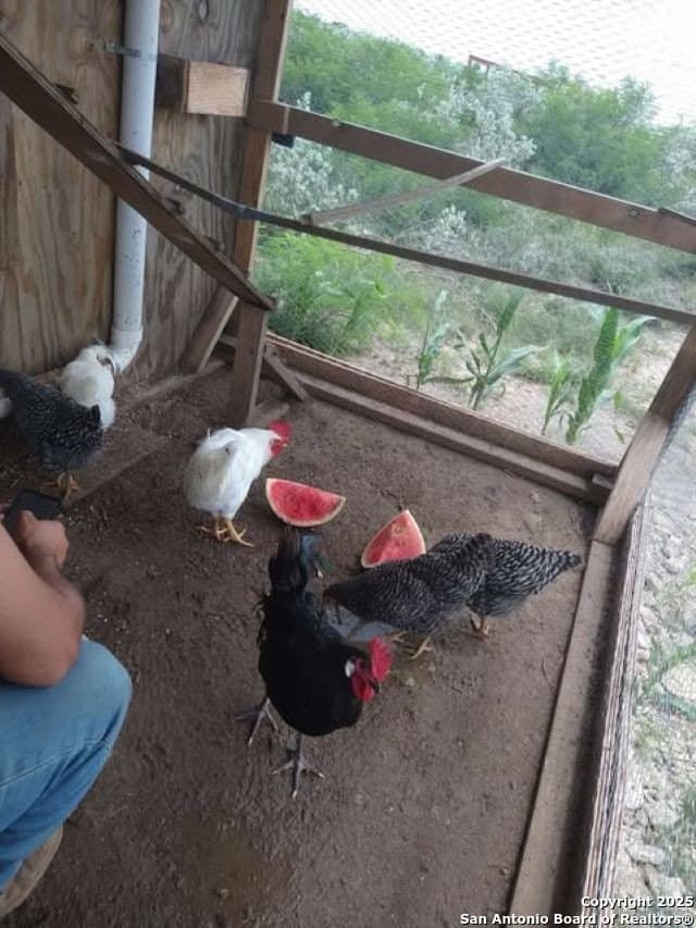 10.2 acres in Live Oak County - photo 4