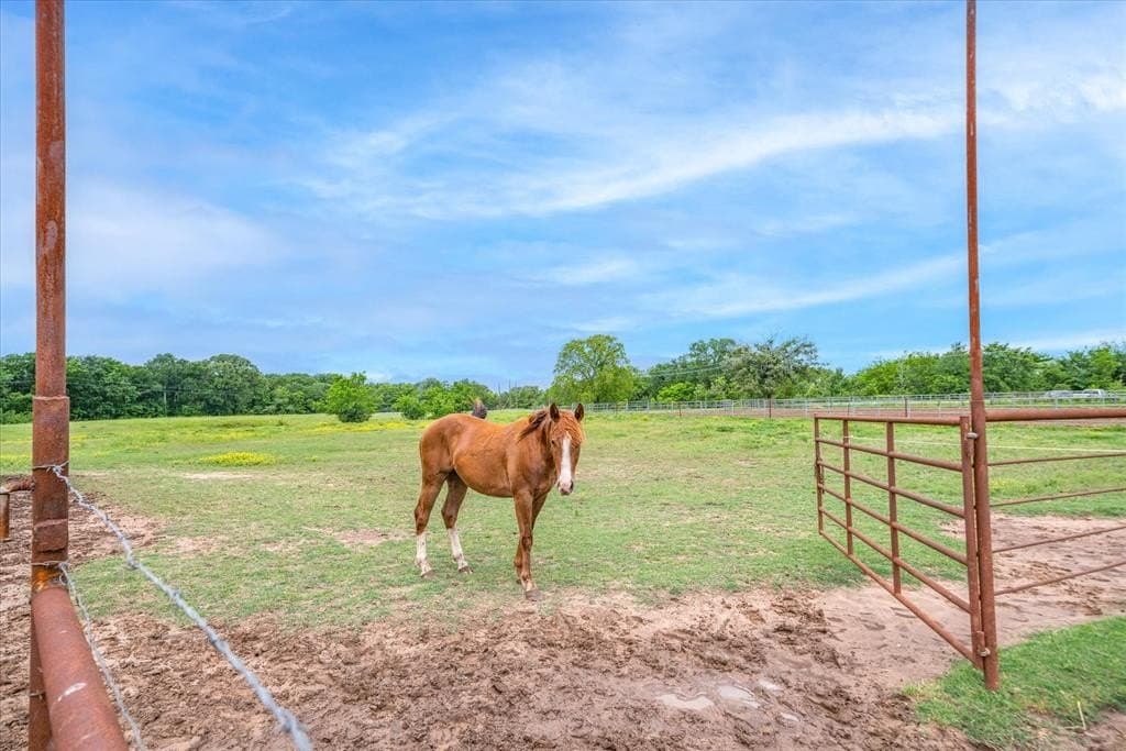 26.41 acres in Van Zandt County - photo 34