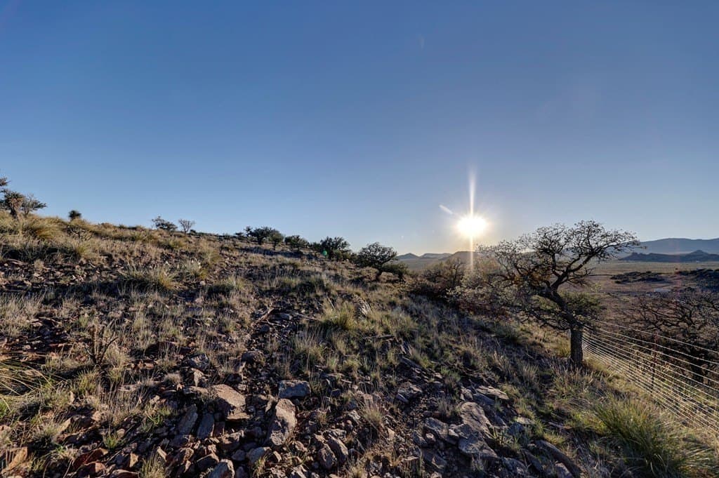 29.73 acres in Jeff Davis County - photo 34