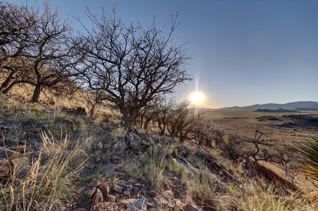 29.73 acres in Jeff Davis County - photo 43