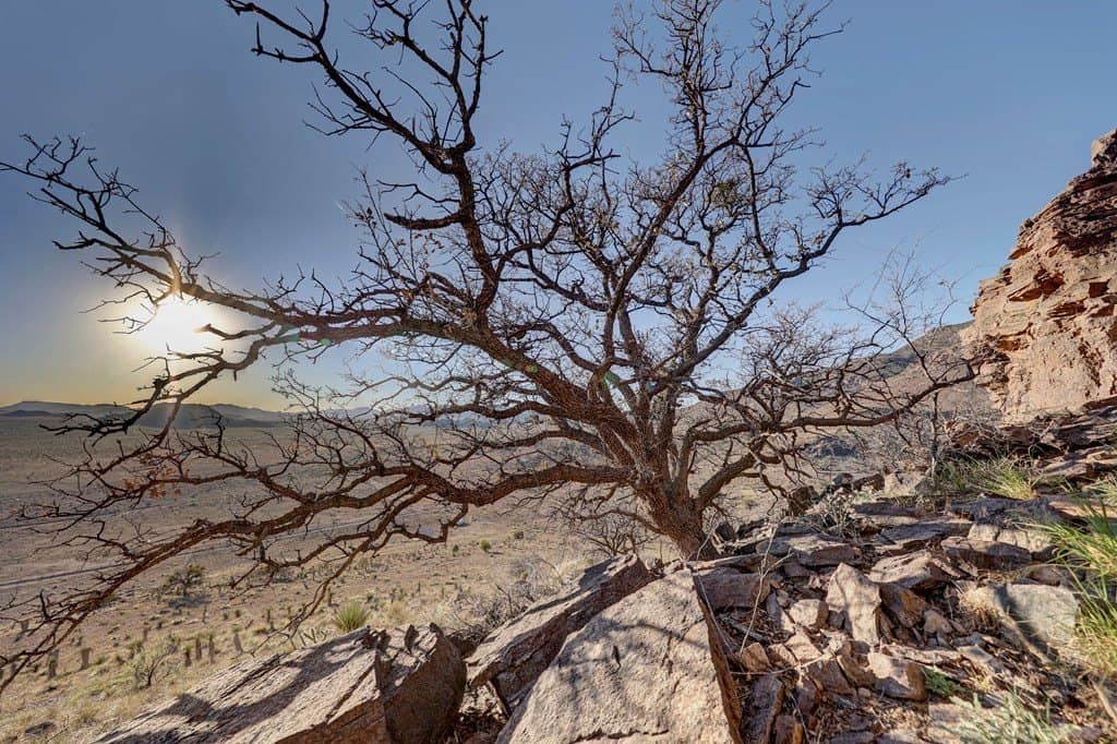 29.73 acres in Jeff Davis County - photo 49