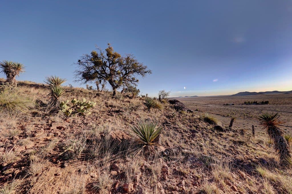 29.73 acres in Jeff Davis County - photo 38