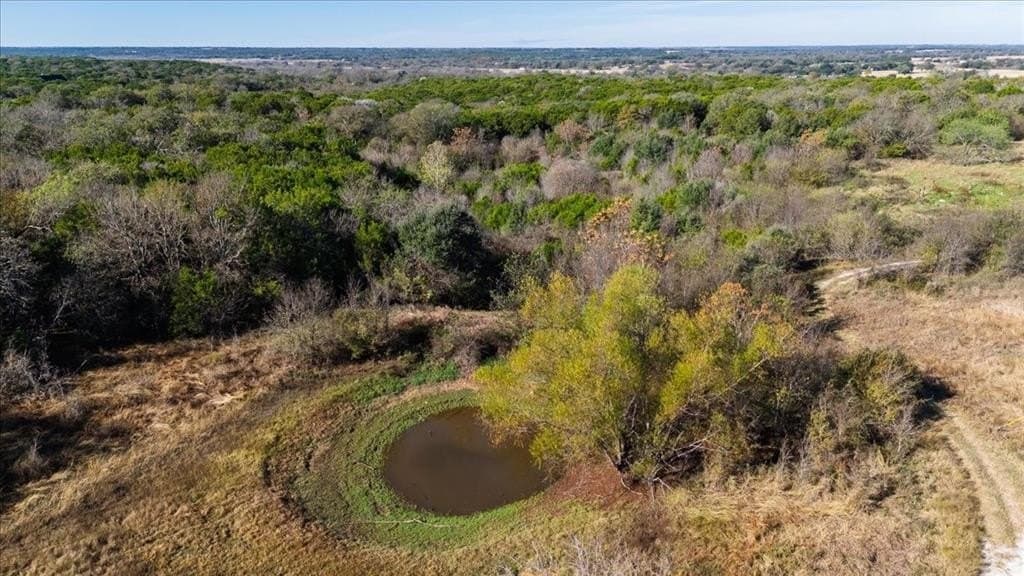 93.88 acres in Hill County - photo 13