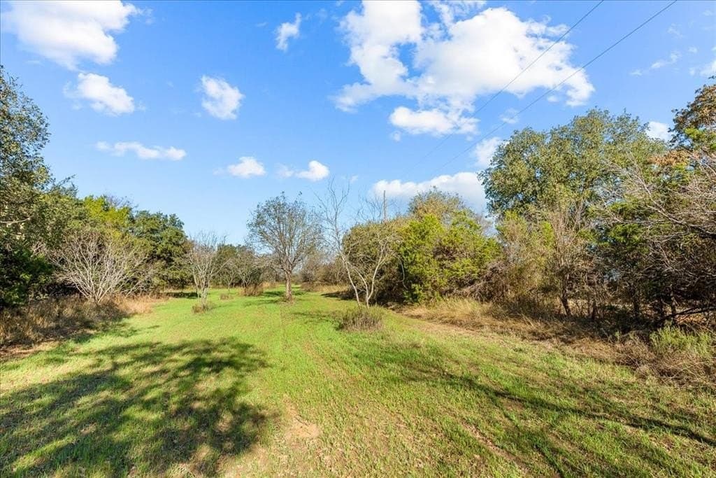 93.88 acres in Hill County - photo 31