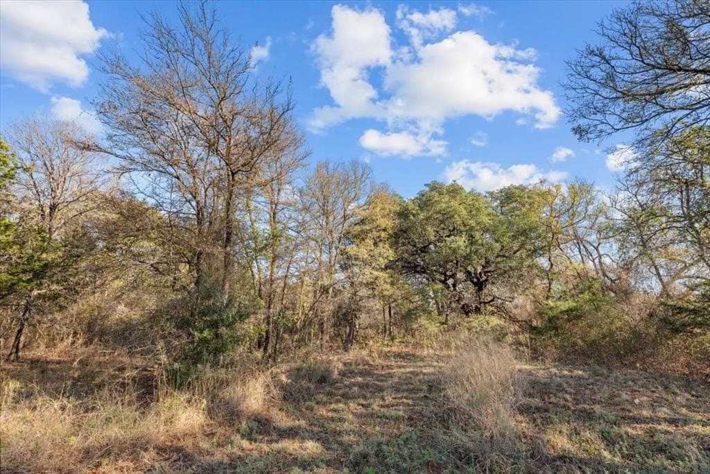 93.88 acres in Hill County - photo 30
